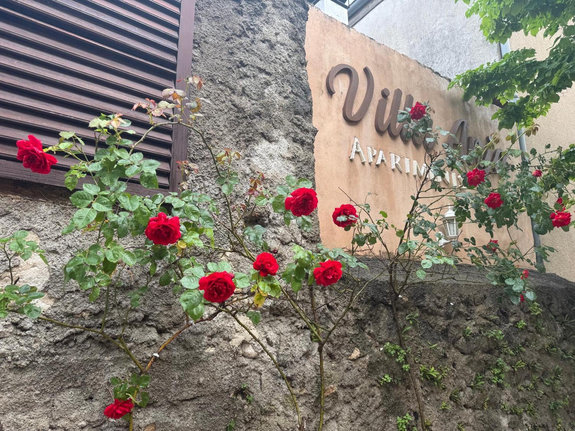 Villa Anja Apartments โมสตาร์ ภายนอก รูปภาพ